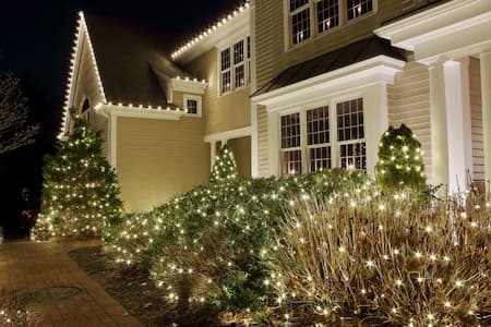 Professional Christmas Light Installation vs. DIY Decorating