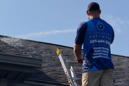 Roof Cleaning Service Image